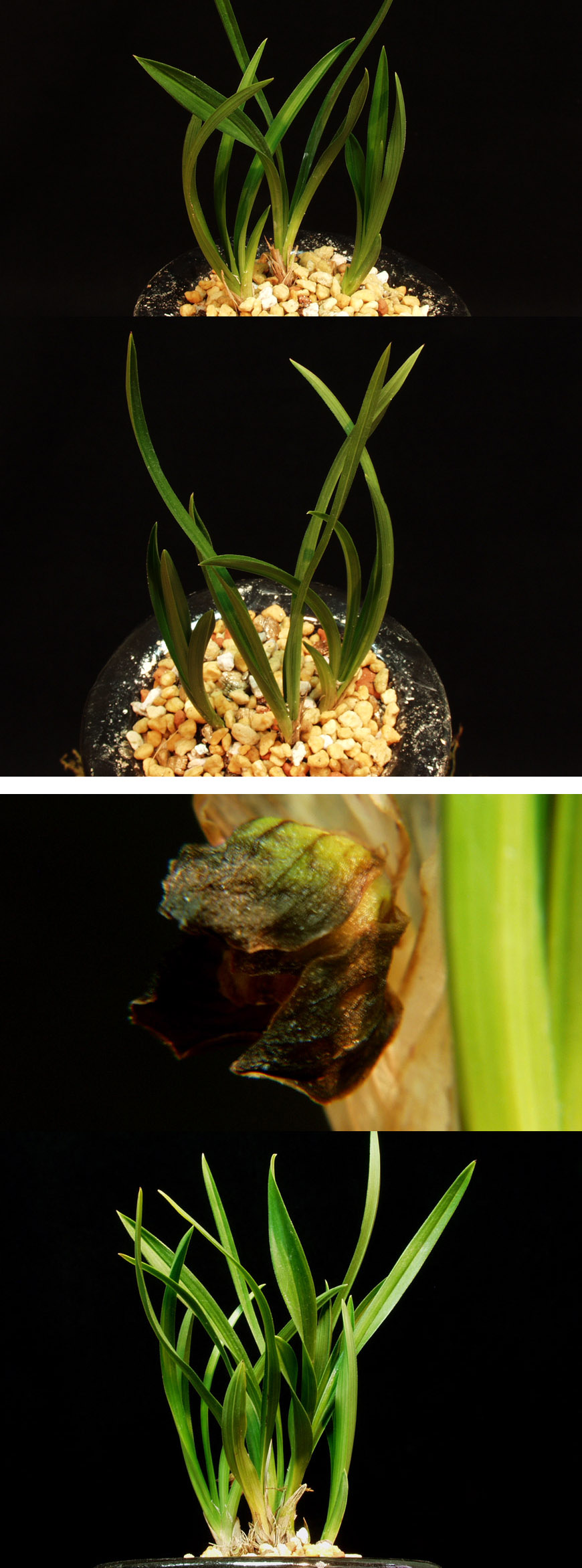 ������ ū������ �� �� �ֽ��ϴ�.