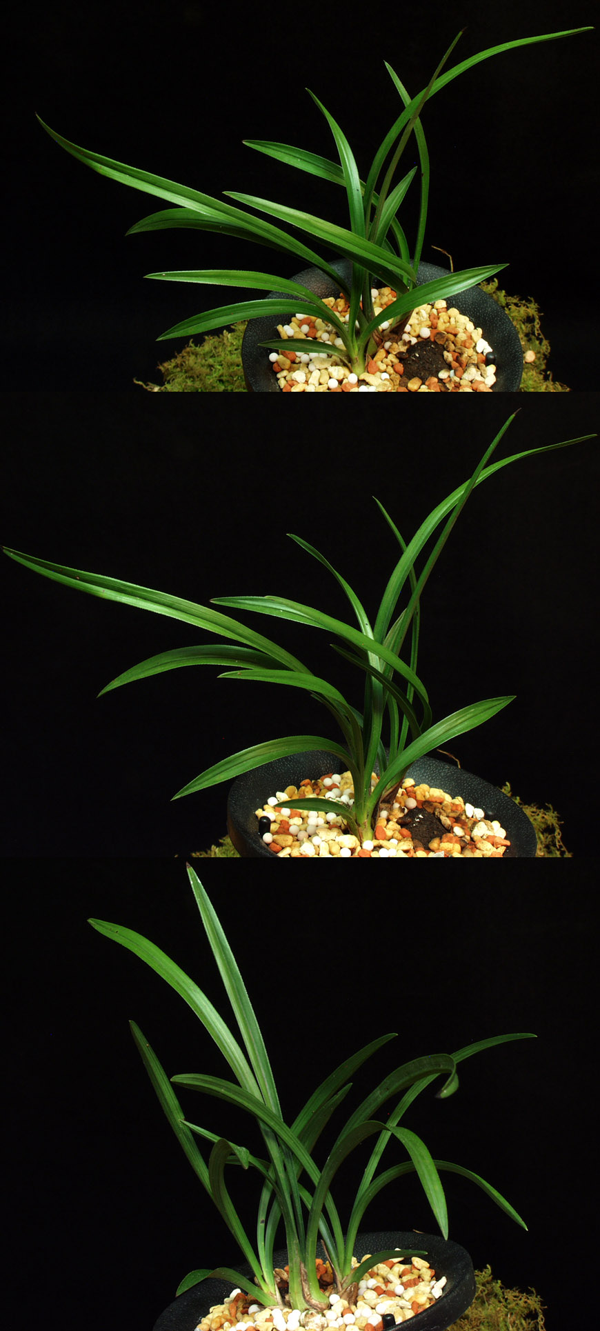 ������ ū������ �� �� �ֽ��ϴ�.