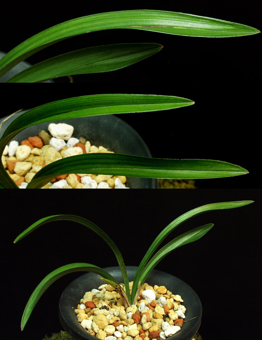 ������ ū������ �� �� �ֽ��ϴ�.