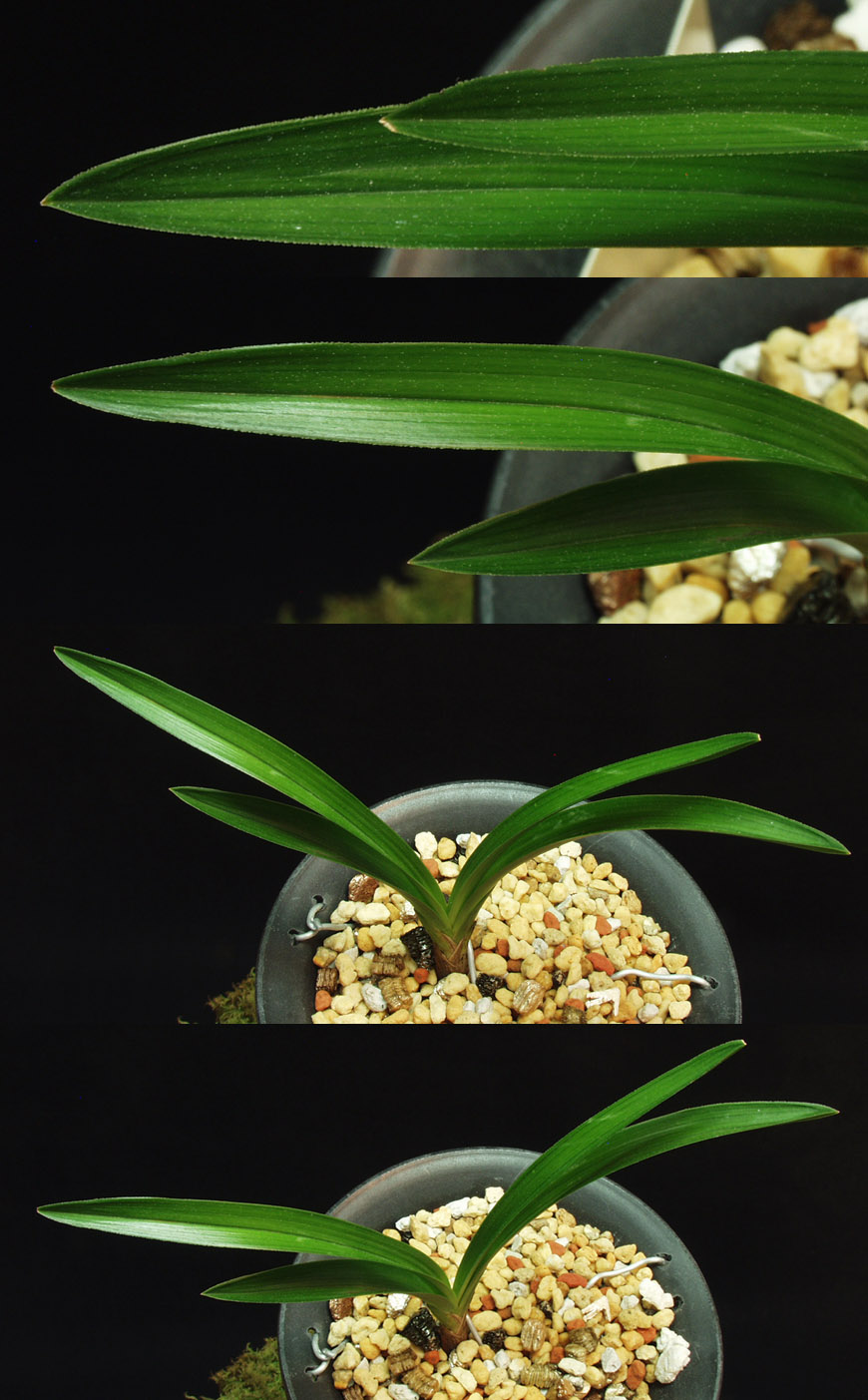 ������ ū������ �� �� �ֽ��ϴ�.