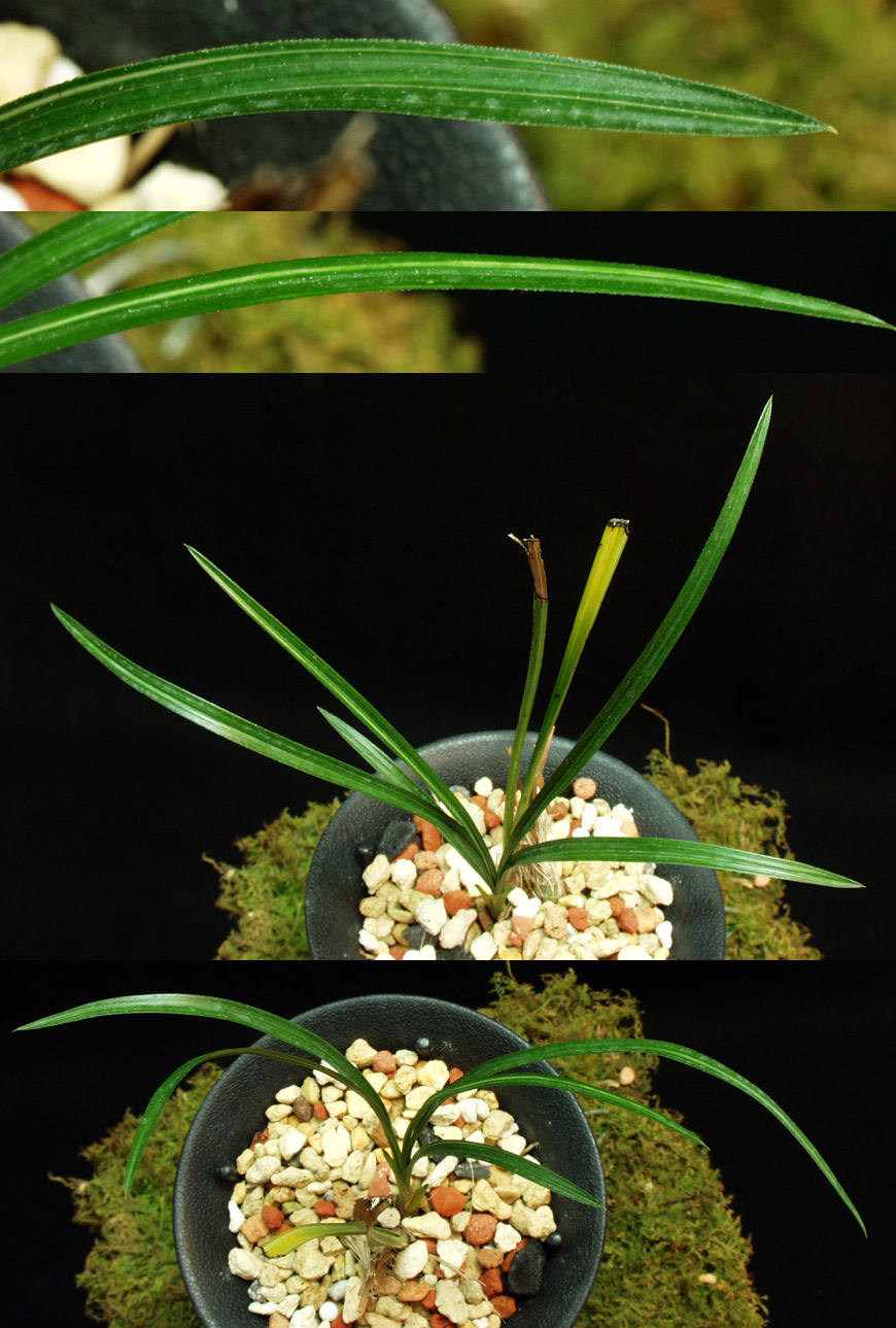 ������ ū������ �� �� �ֽ��ϴ�.