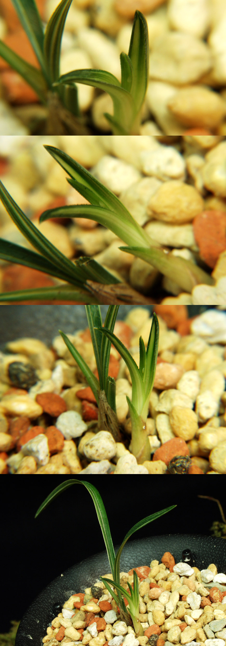 ������ ū������ �� �� �ֽ��ϴ�.