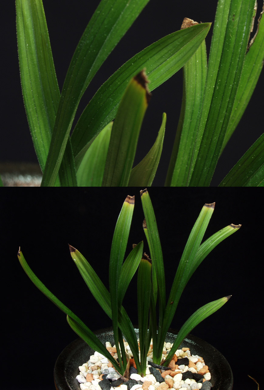 ������ ū������ �� �� �ֽ��ϴ�.