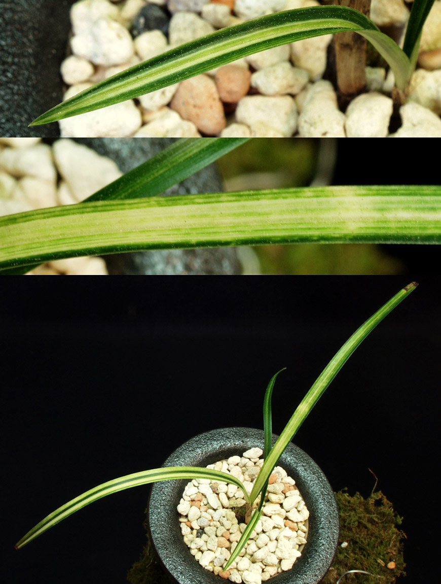 ������ ū������ �� �� �ֽ��ϴ�.