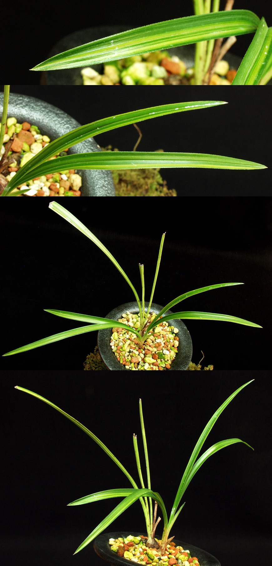 ������ ū������ �� �� �ֽ��ϴ�.