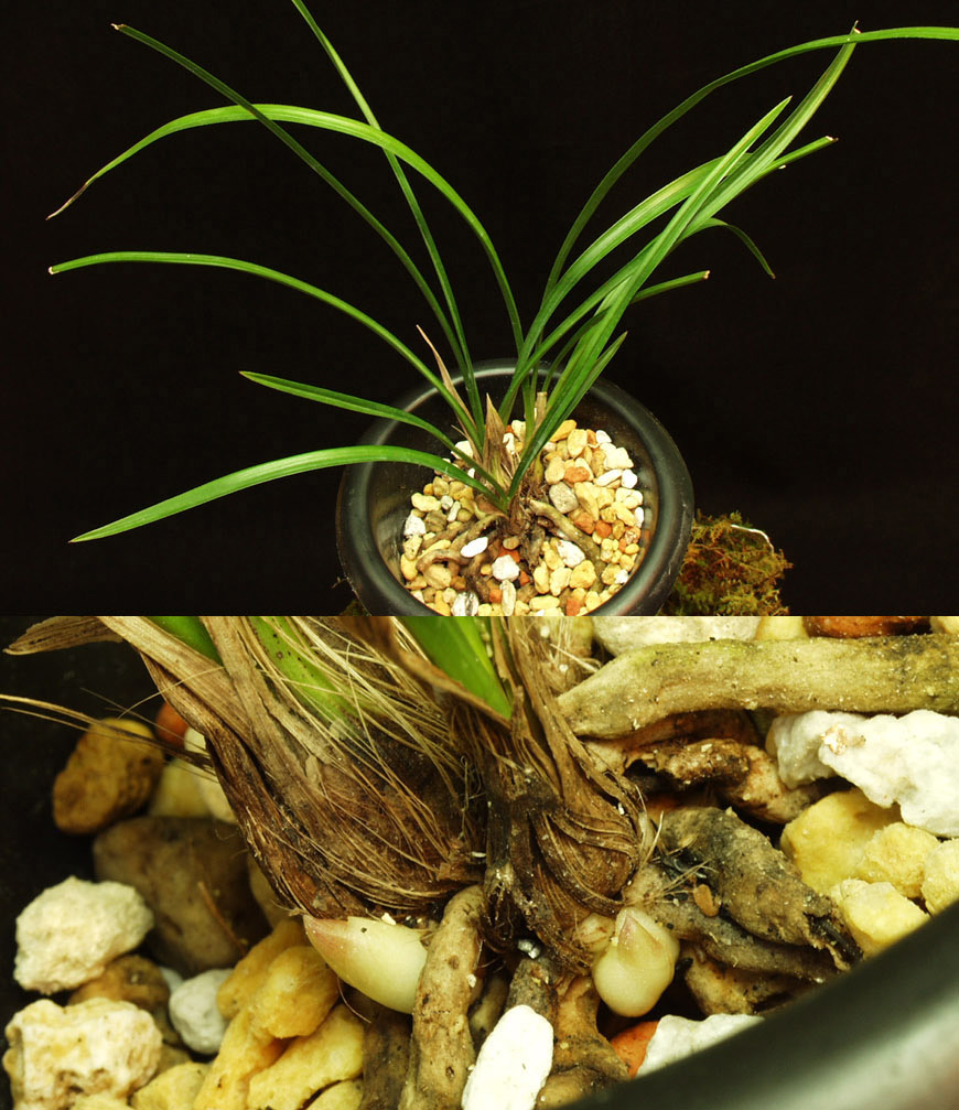 ������ ū������ �� �� �ֽ��ϴ�.