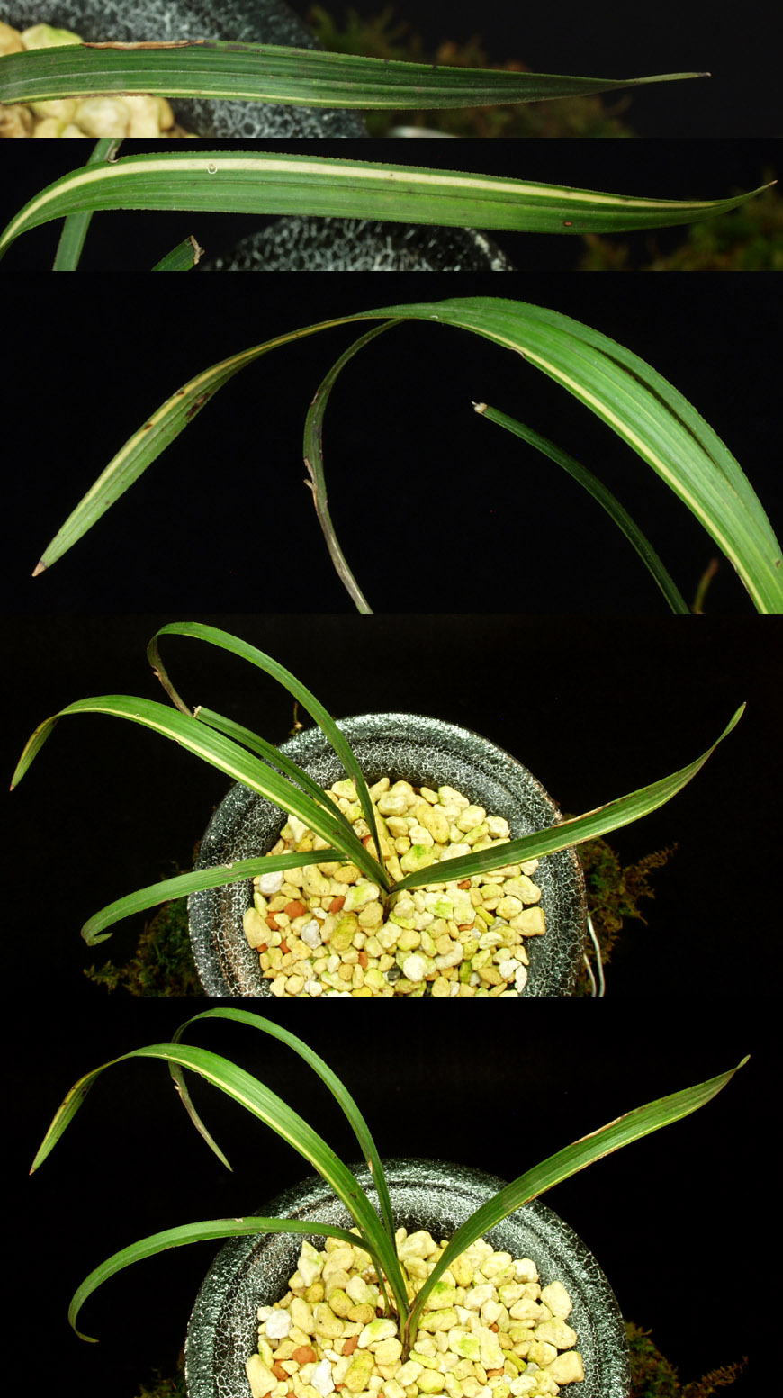 ������ ū������ �� �� �ֽ��ϴ�.