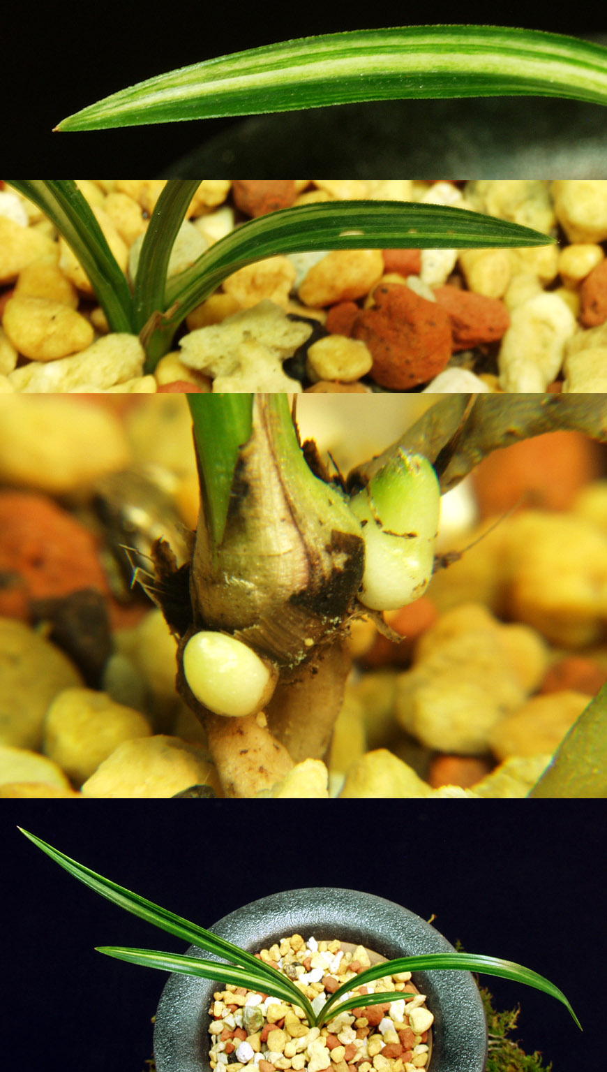 ������ ū������ �� �� �ֽ��ϴ�.