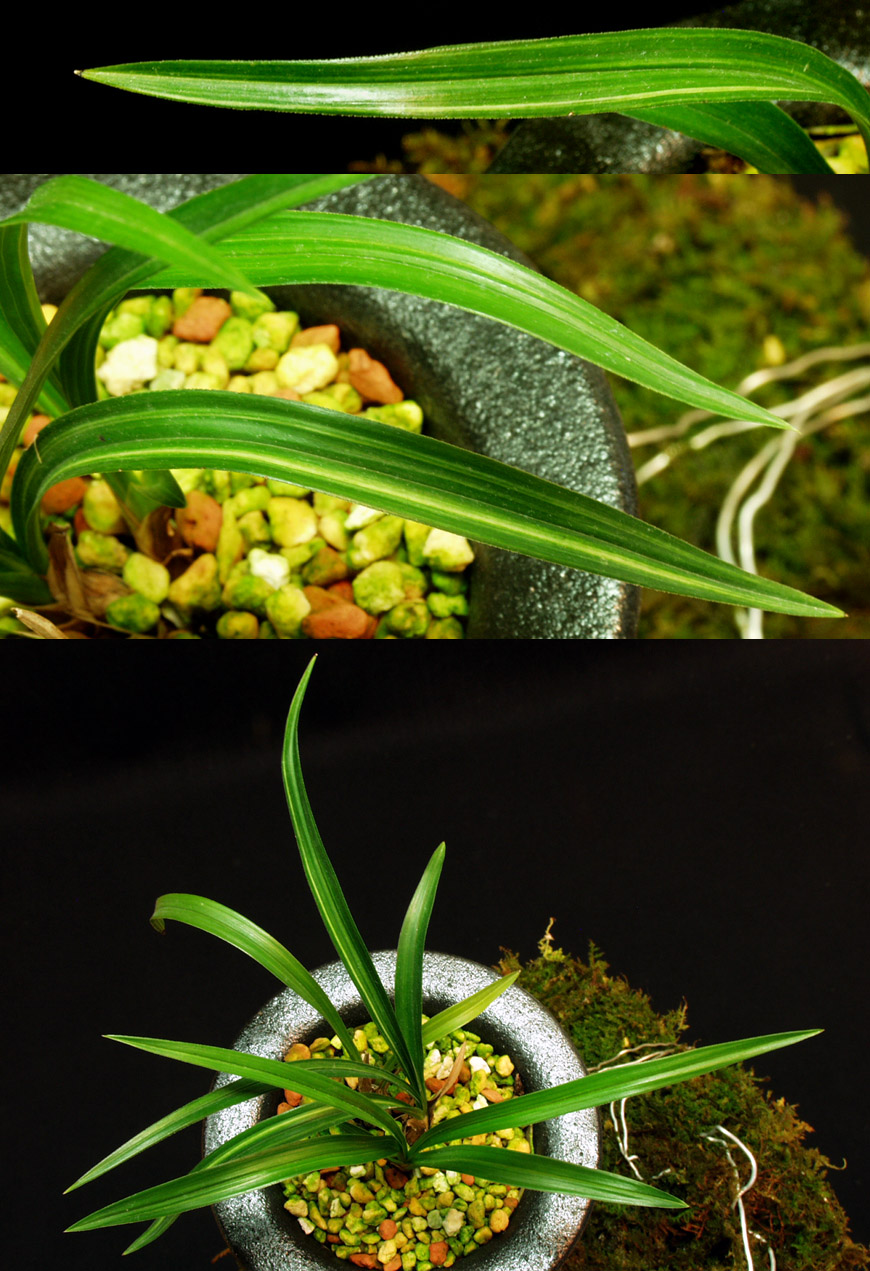 ������ ū������ �� �� �ֽ��ϴ�.