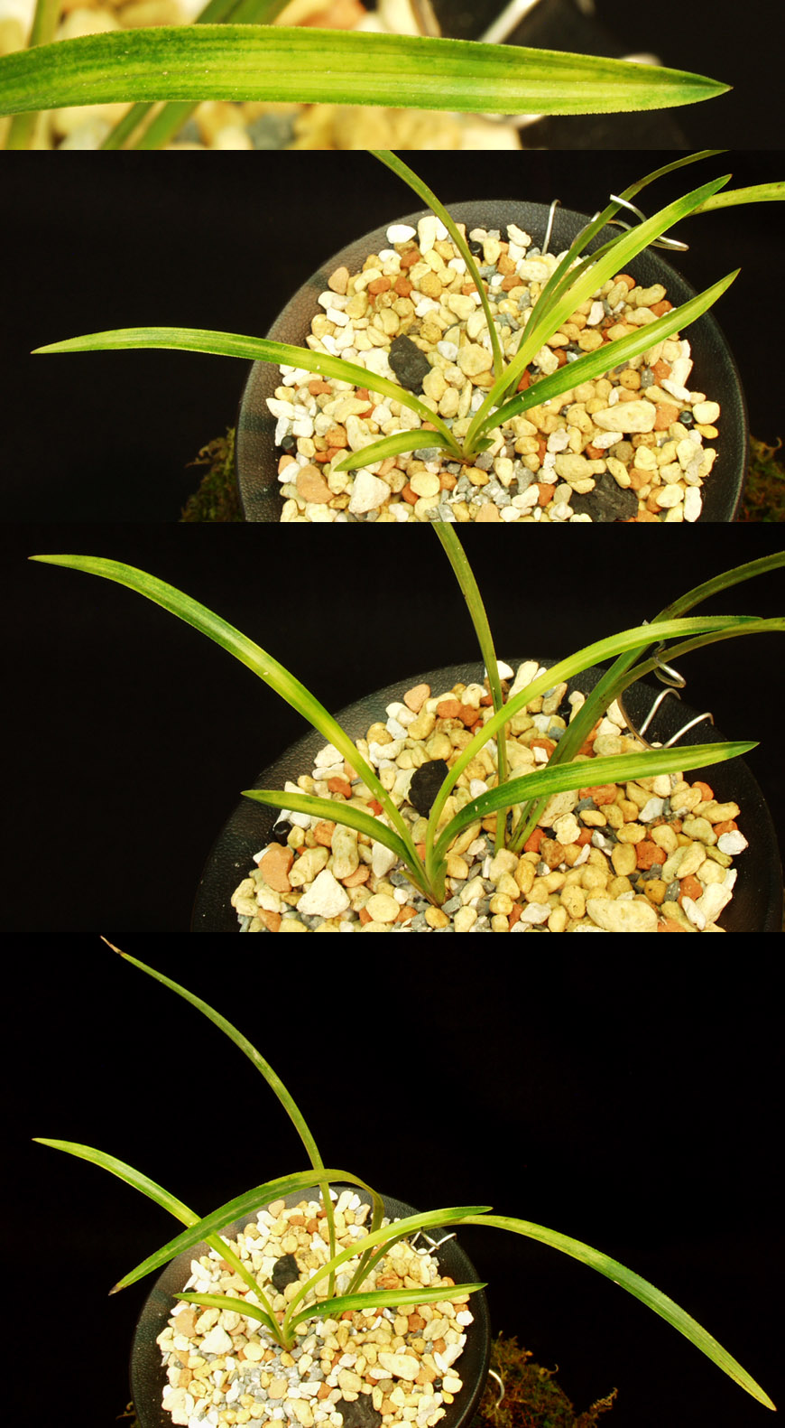 ������ ū������ �� �� �ֽ��ϴ�.