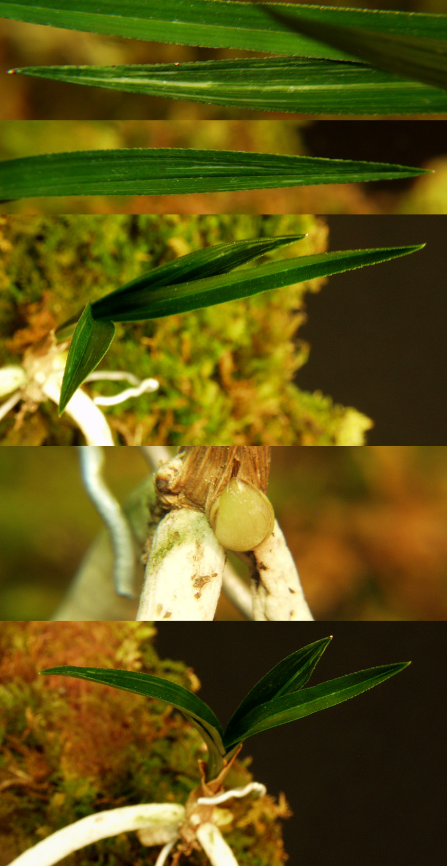 ������ ū������ �� �� �ֽ��ϴ�.