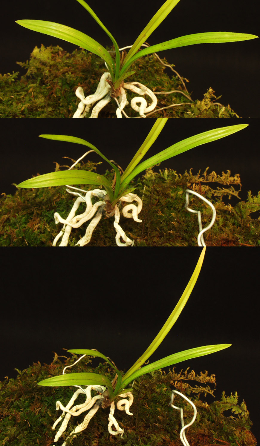 ������ ū������ �� �� �ֽ��ϴ�.