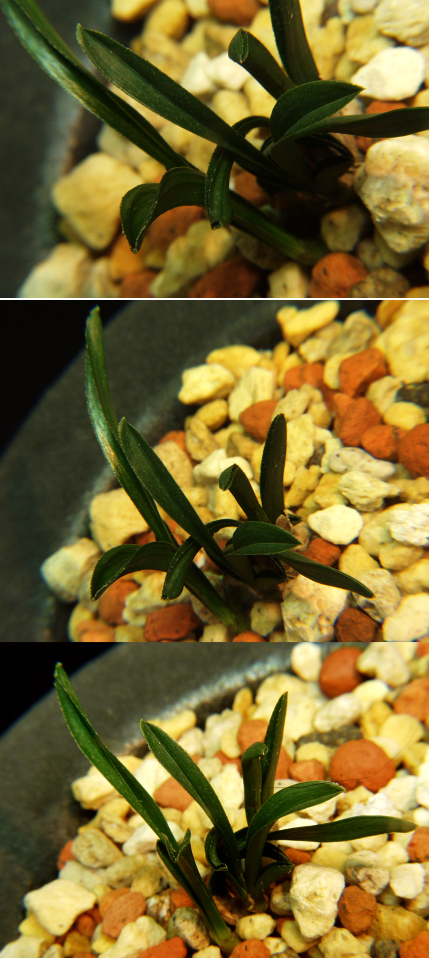 ������ ū������ �� �� �ֽ��ϴ�.