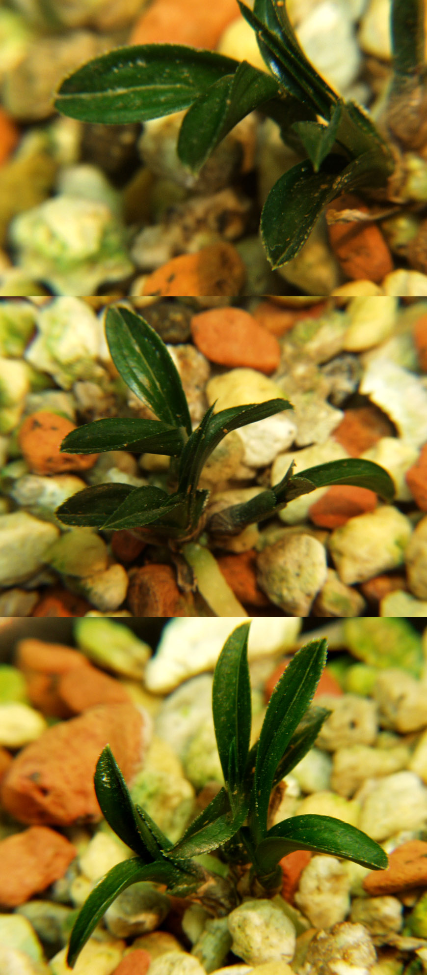 ������ ū������ �� �� �ֽ��ϴ�.