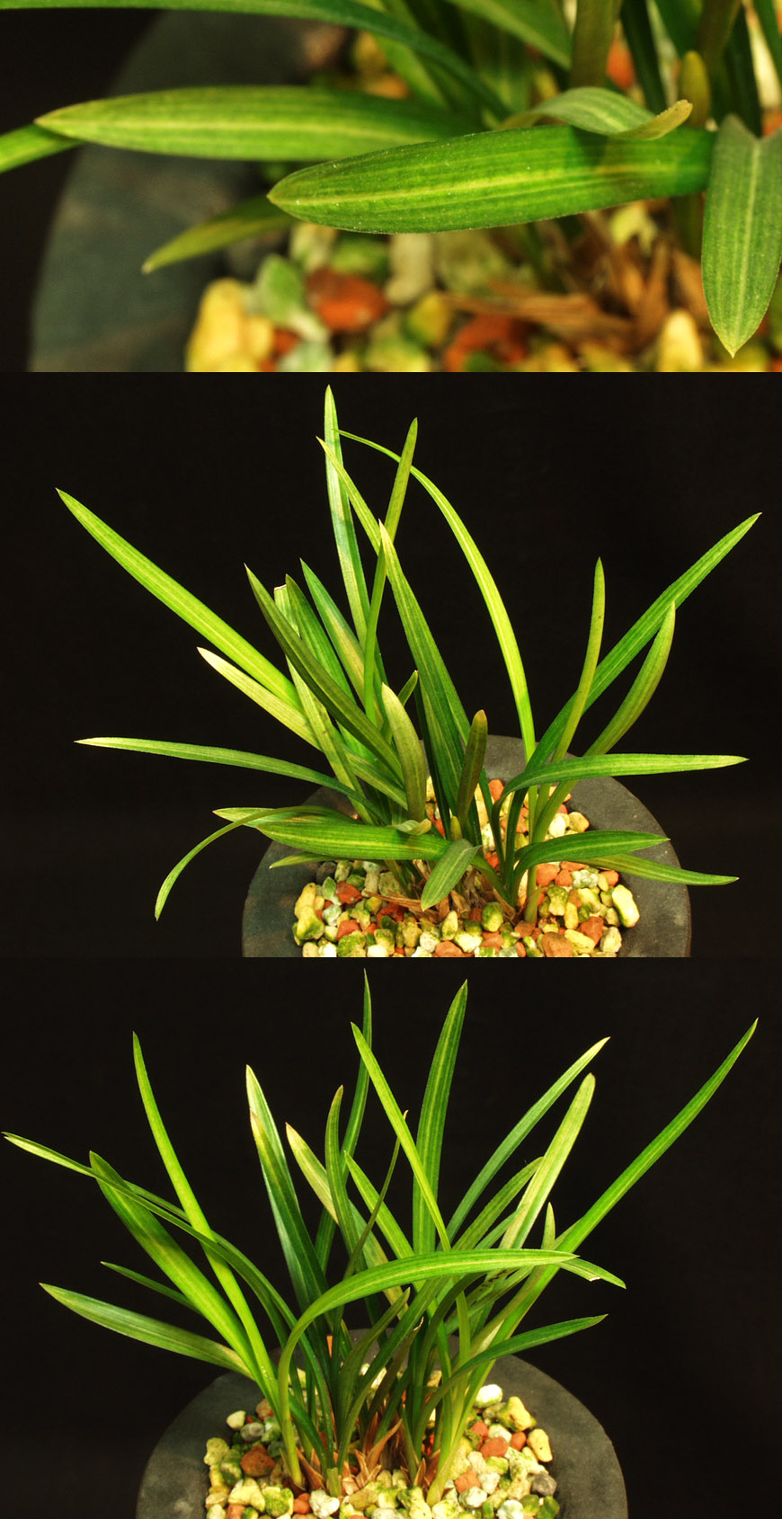 ������ ū������ �� �� �ֽ��ϴ�.