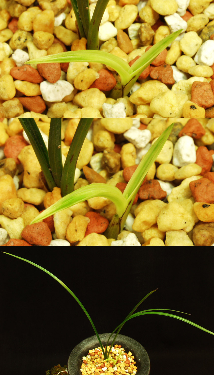 ������ ū������ �� �� �ֽ��ϴ�.