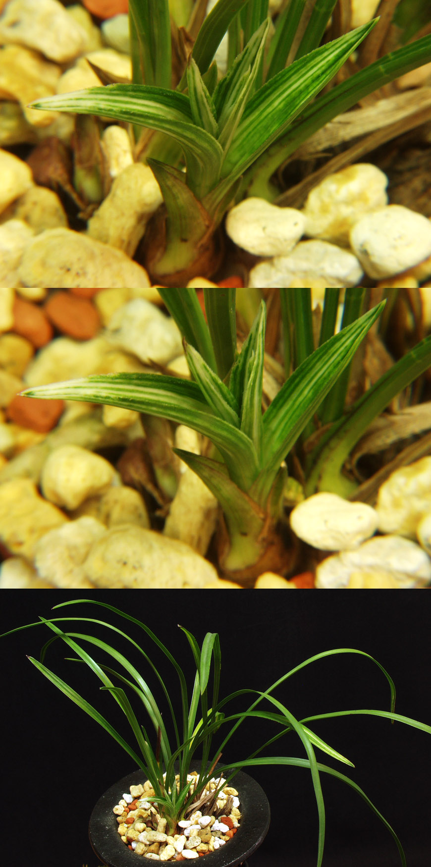 ������ ū������ �� �� �ֽ��ϴ�.