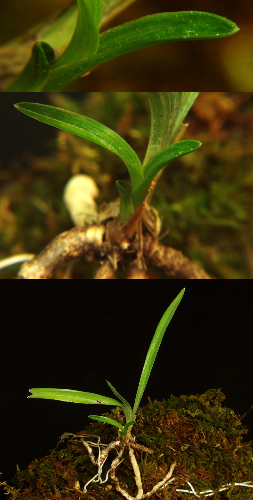 ������ ū������ �� �� �ֽ��ϴ�.