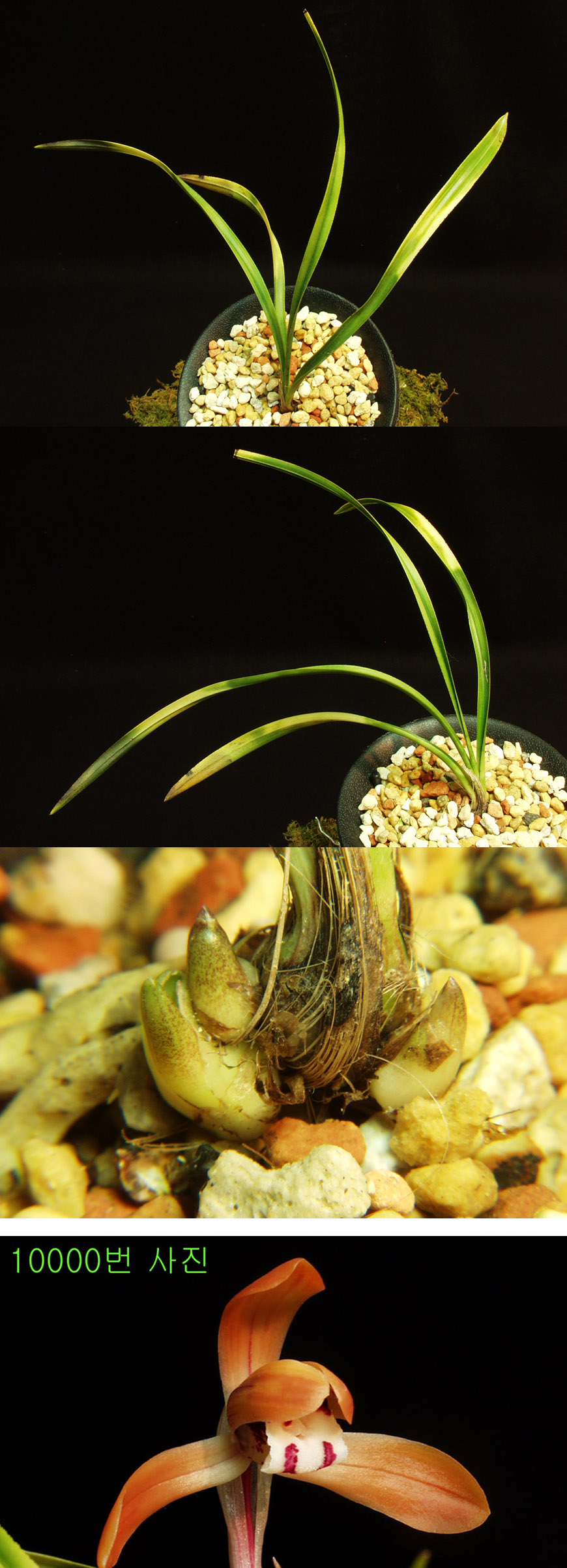 ������ ū������ �� �� �ֽ��ϴ�.