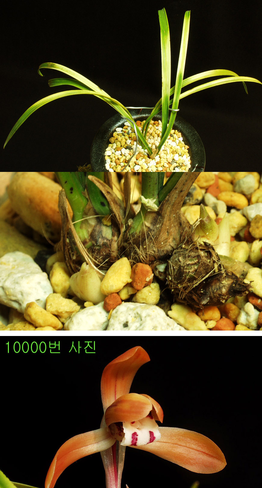 ������ ū������ �� �� �ֽ��ϴ�.