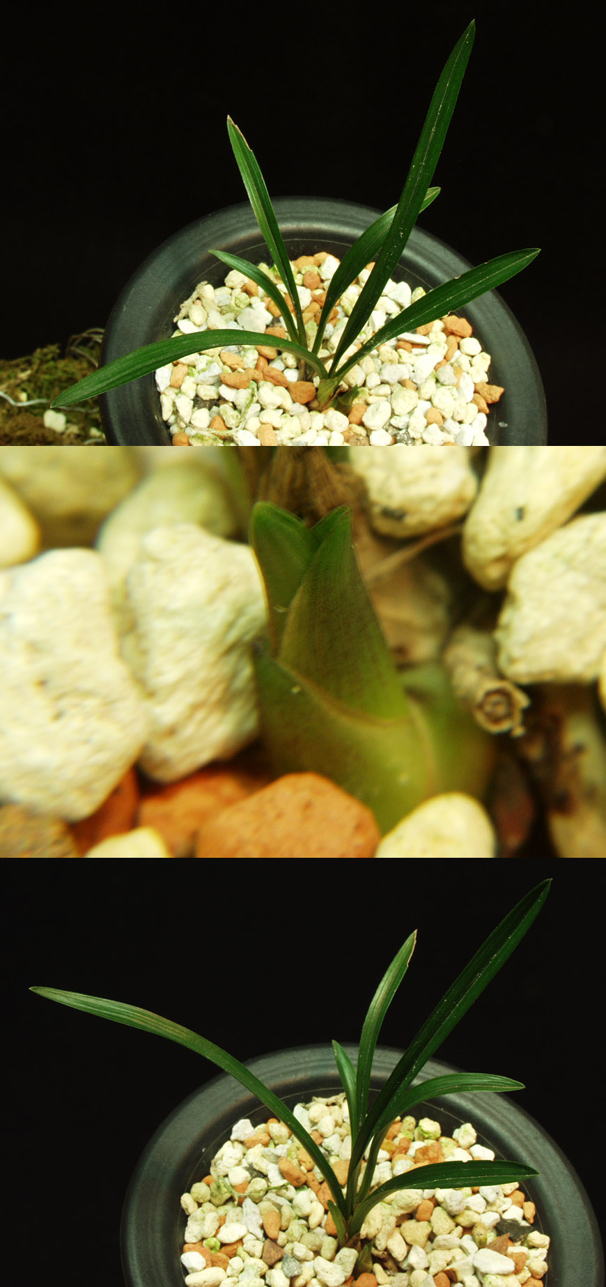 ������ ū������ �� �� �ֽ��ϴ�.