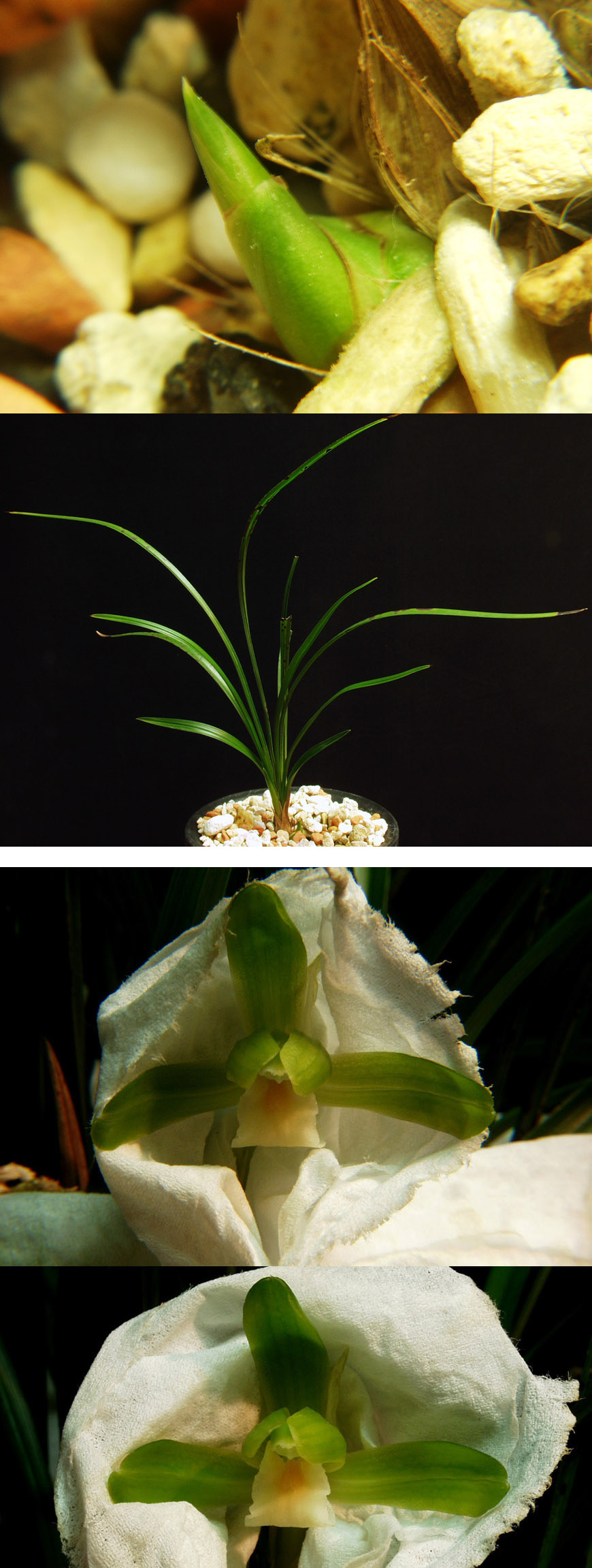 ������ ū������ �� �� �ֽ��ϴ�.