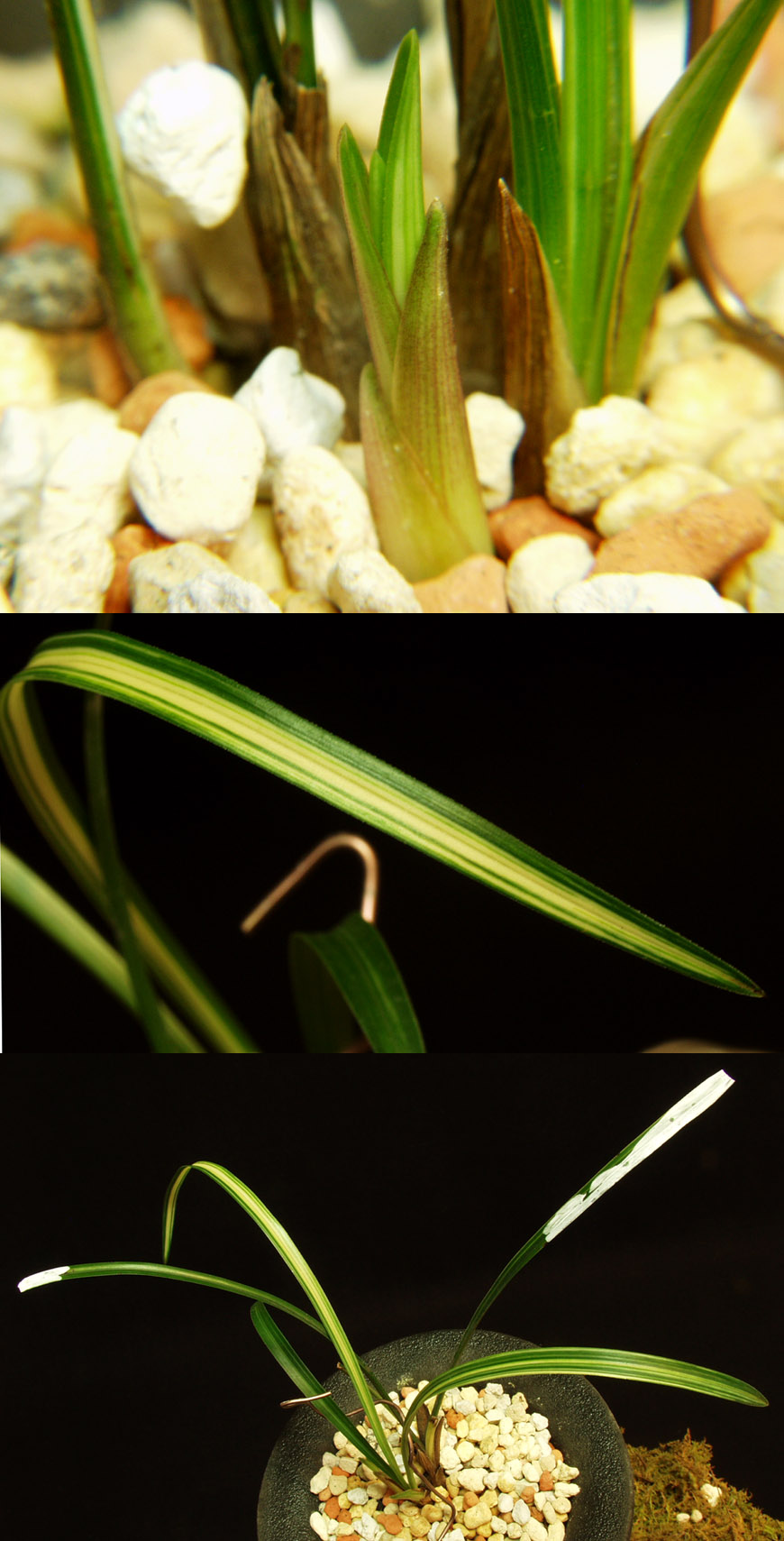 ������ ū������ �� �� �ֽ��ϴ�.