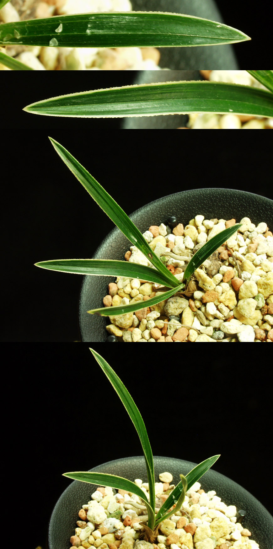 ������ ū������ �� �� �ֽ��ϴ�.