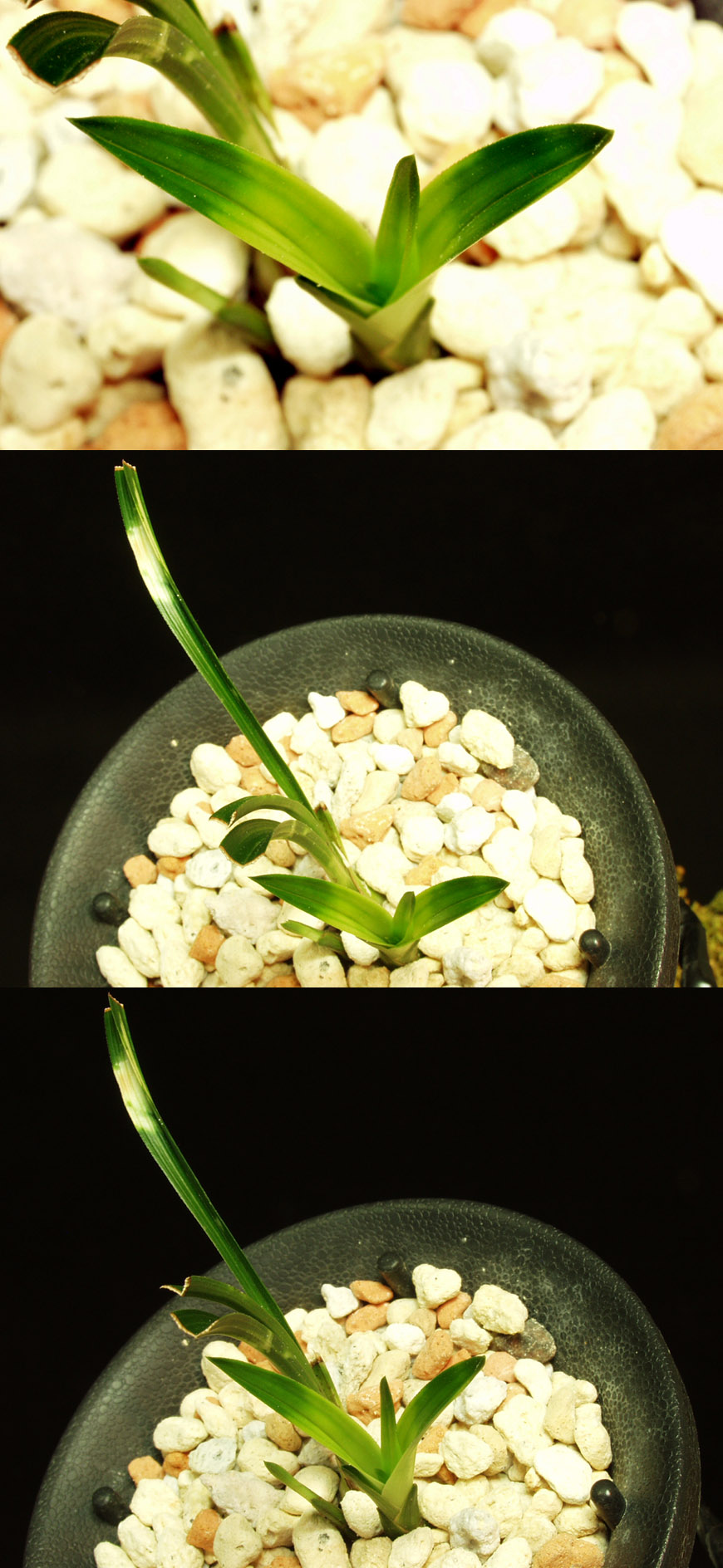 ������ ū������ �� �� �ֽ��ϴ�.