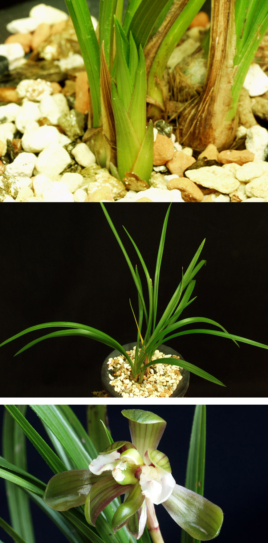 ������ ū������ �� �� �ֽ��ϴ�.