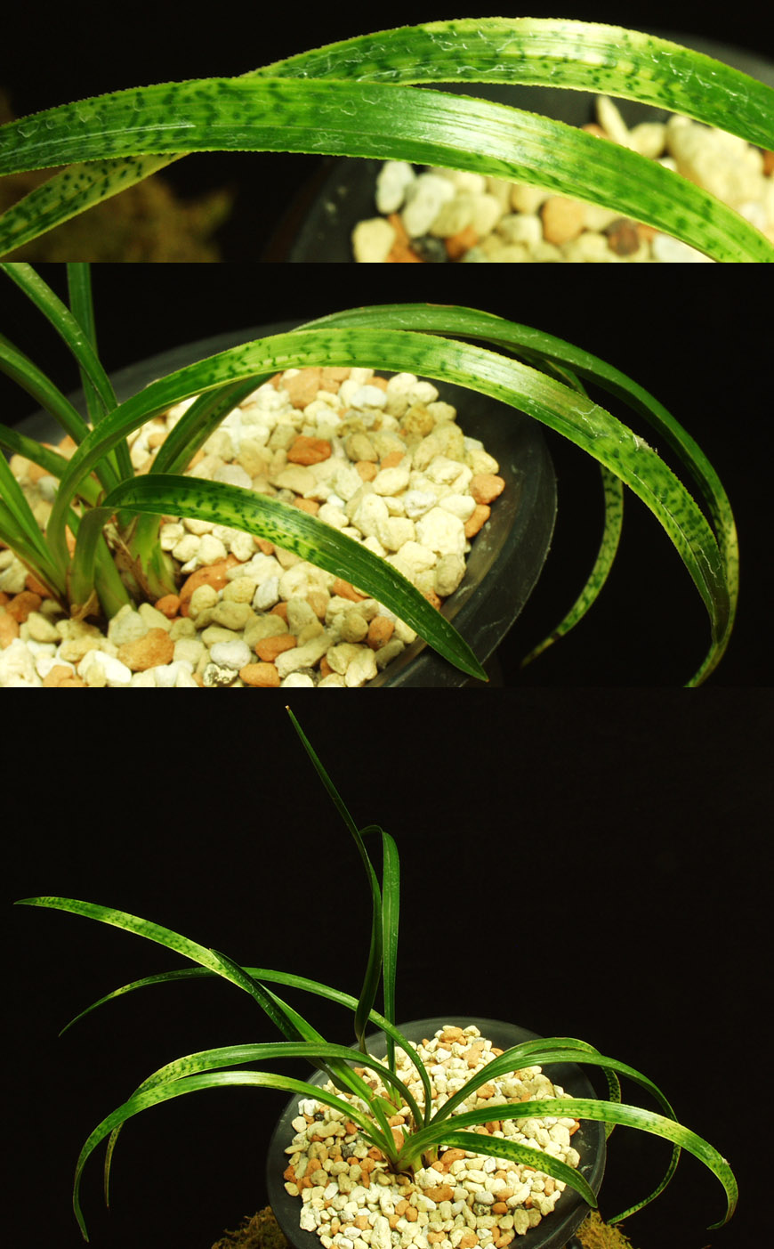 ������ ū������ �� �� �ֽ��ϴ�.