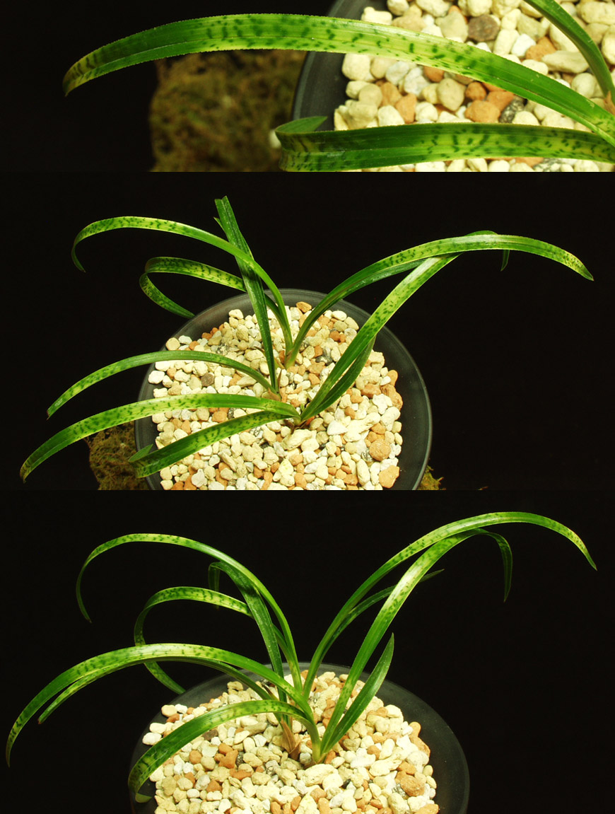 ������ ū������ �� �� �ֽ��ϴ�.