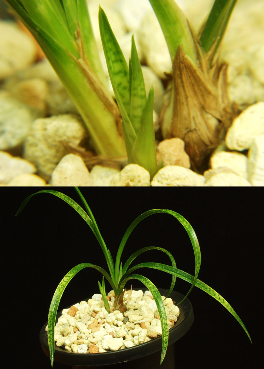 ������ ū������ �� �� �ֽ��ϴ�.