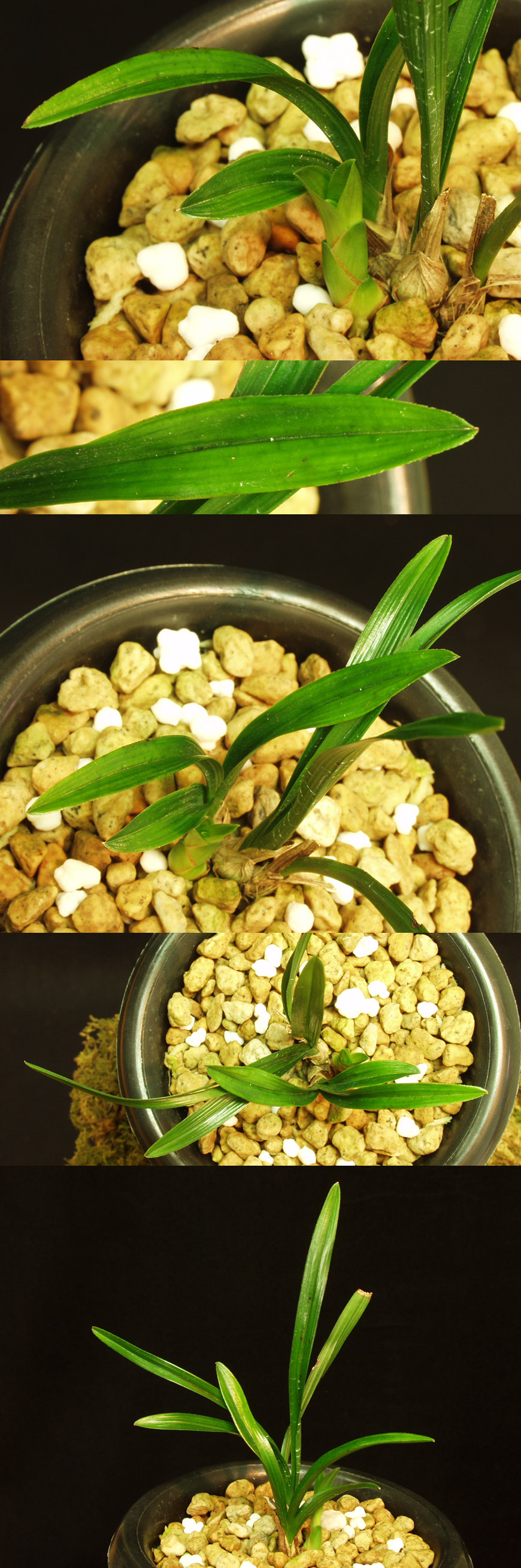 ������ ū������ �� �� �ֽ��ϴ�.