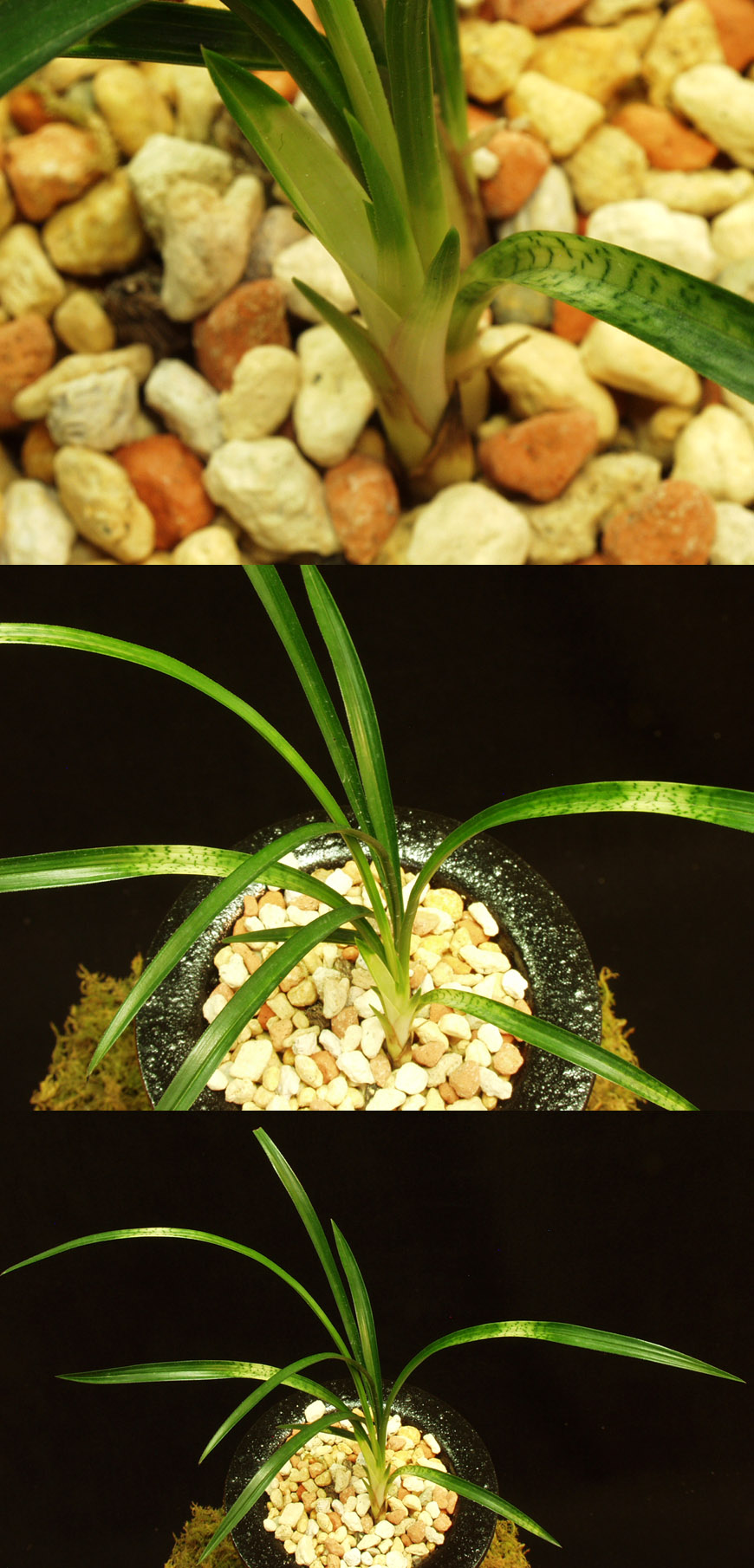 ������ ū������ �� �� �ֽ��ϴ�.