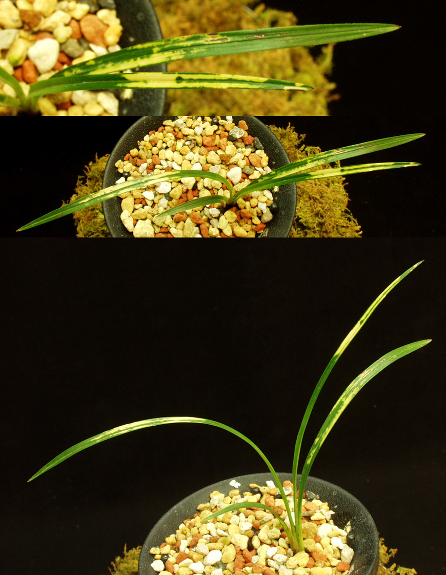 ������ ū������ �� �� �ֽ��ϴ�.