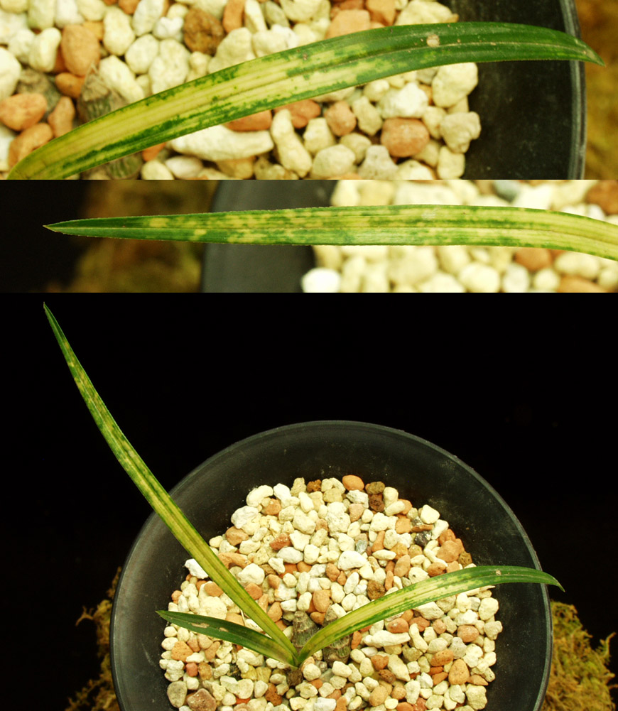 ������ ū������ �� �� �ֽ��ϴ�.