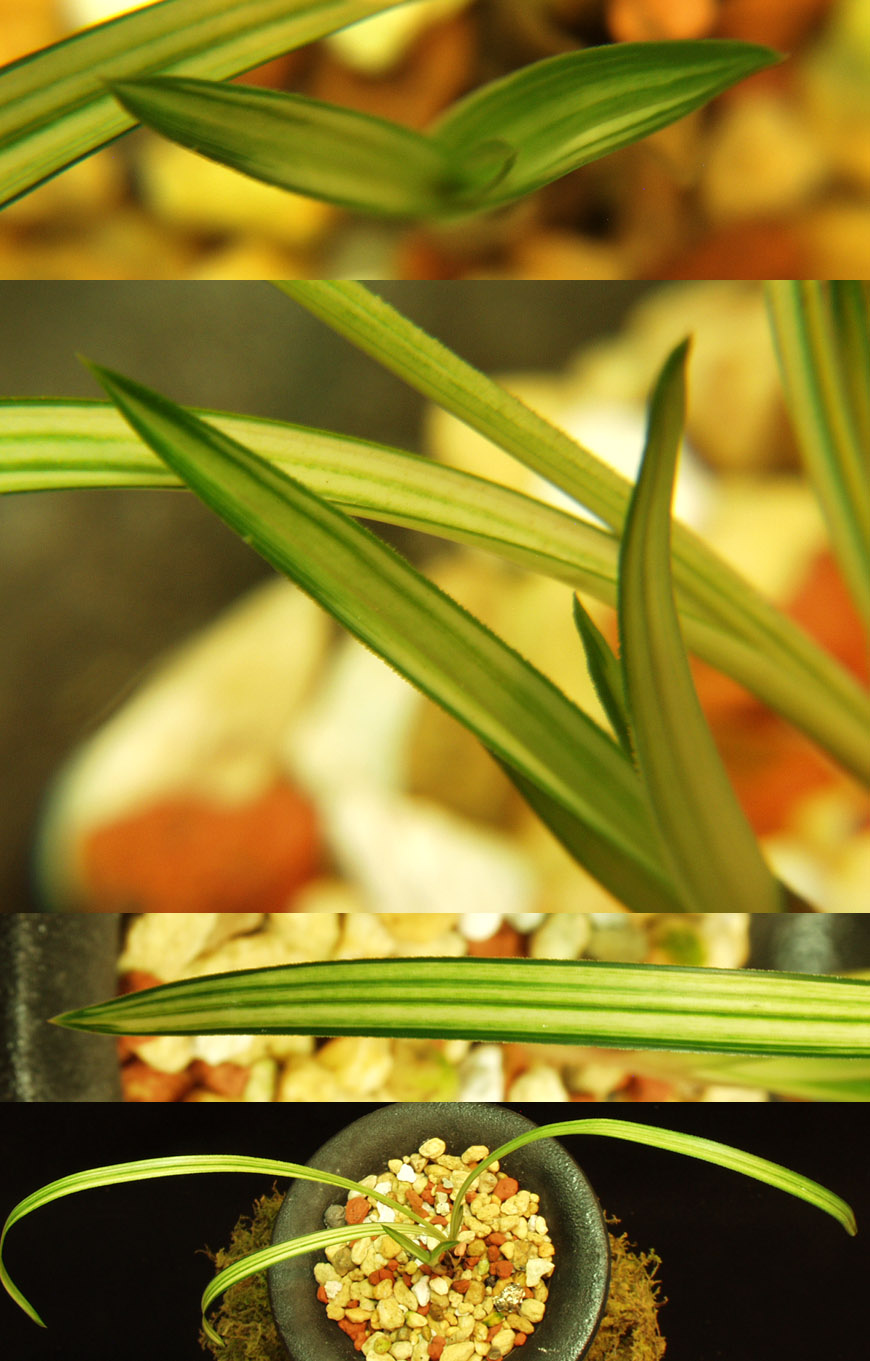 ������ ū������ �� �� �ֽ��ϴ�.