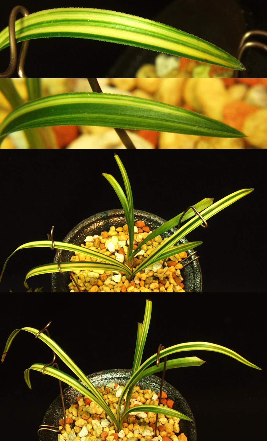 ������ ū������ �� �� �ֽ��ϴ�.