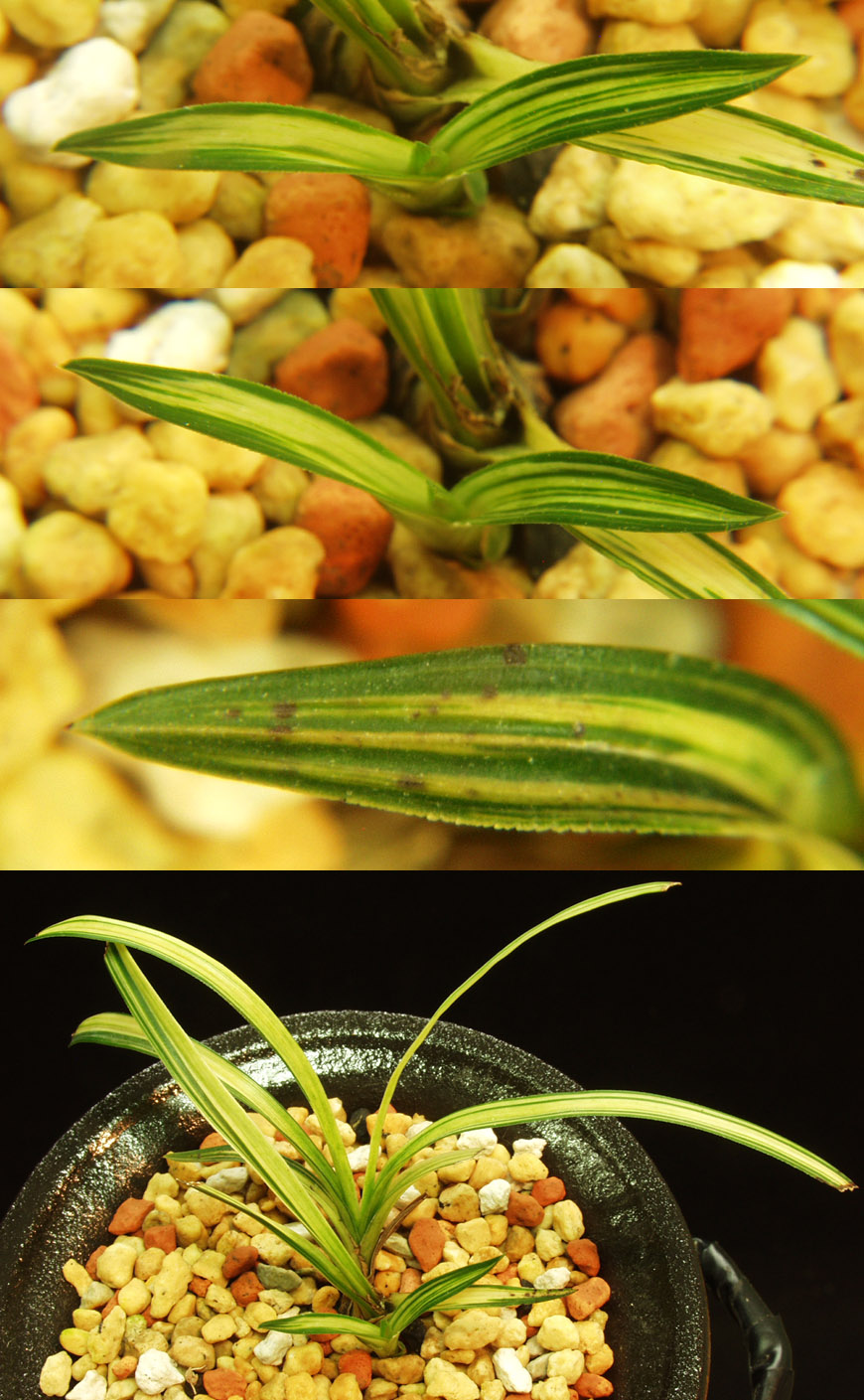 ������ ū������ �� �� �ֽ��ϴ�.