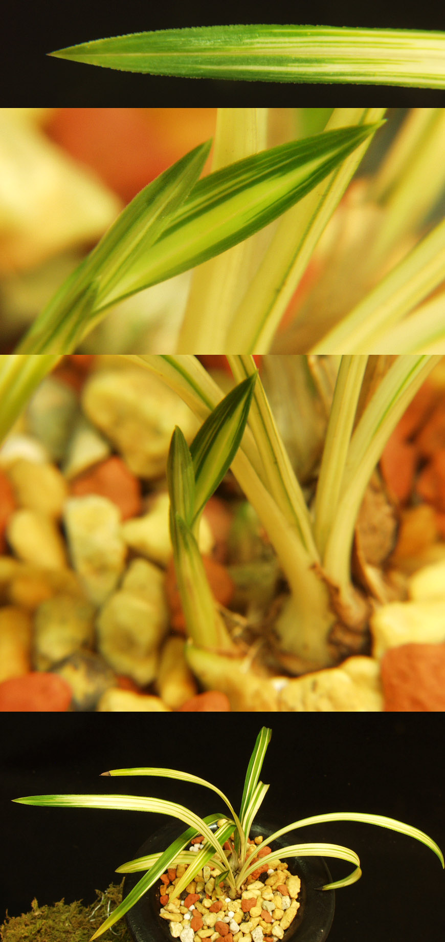 ������ ū������ �� �� �ֽ��ϴ�.