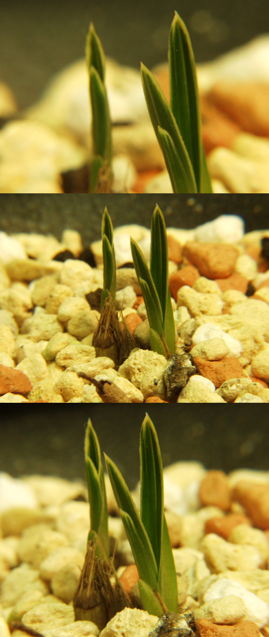 ������ ū������ �� �� �ֽ��ϴ�.