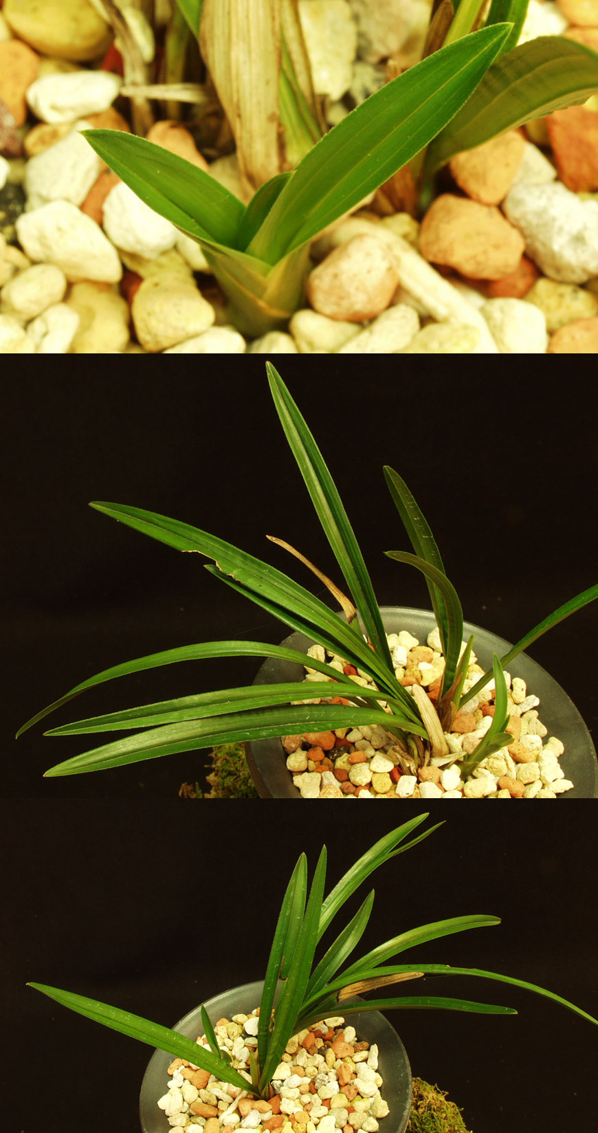 ������ ū������ �� �� �ֽ��ϴ�.