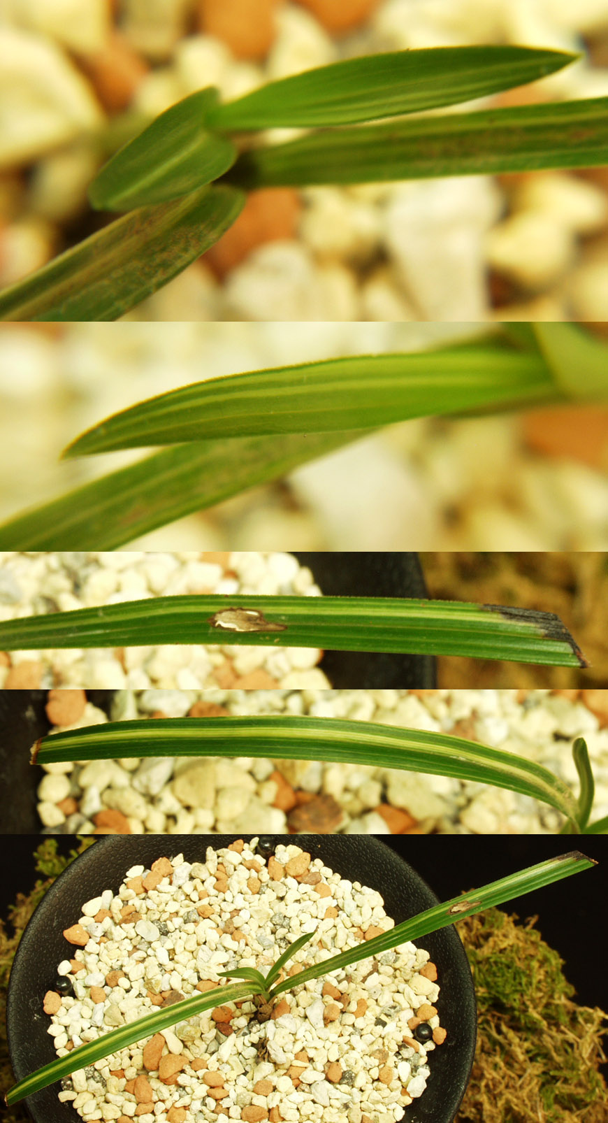 ������ ū������ �� �� �ֽ��ϴ�.