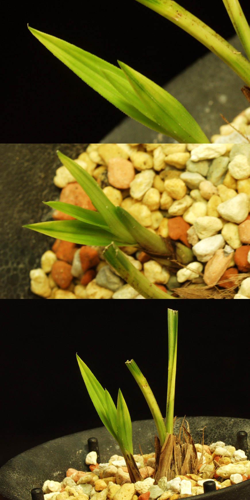 ������ ū������ �� �� �ֽ��ϴ�.