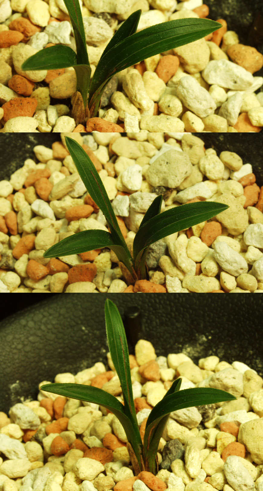 ������ ū������ �� �� �ֽ��ϴ�.