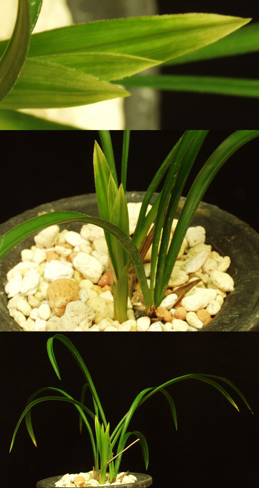 ������ ū������ �� �� �ֽ��ϴ�.