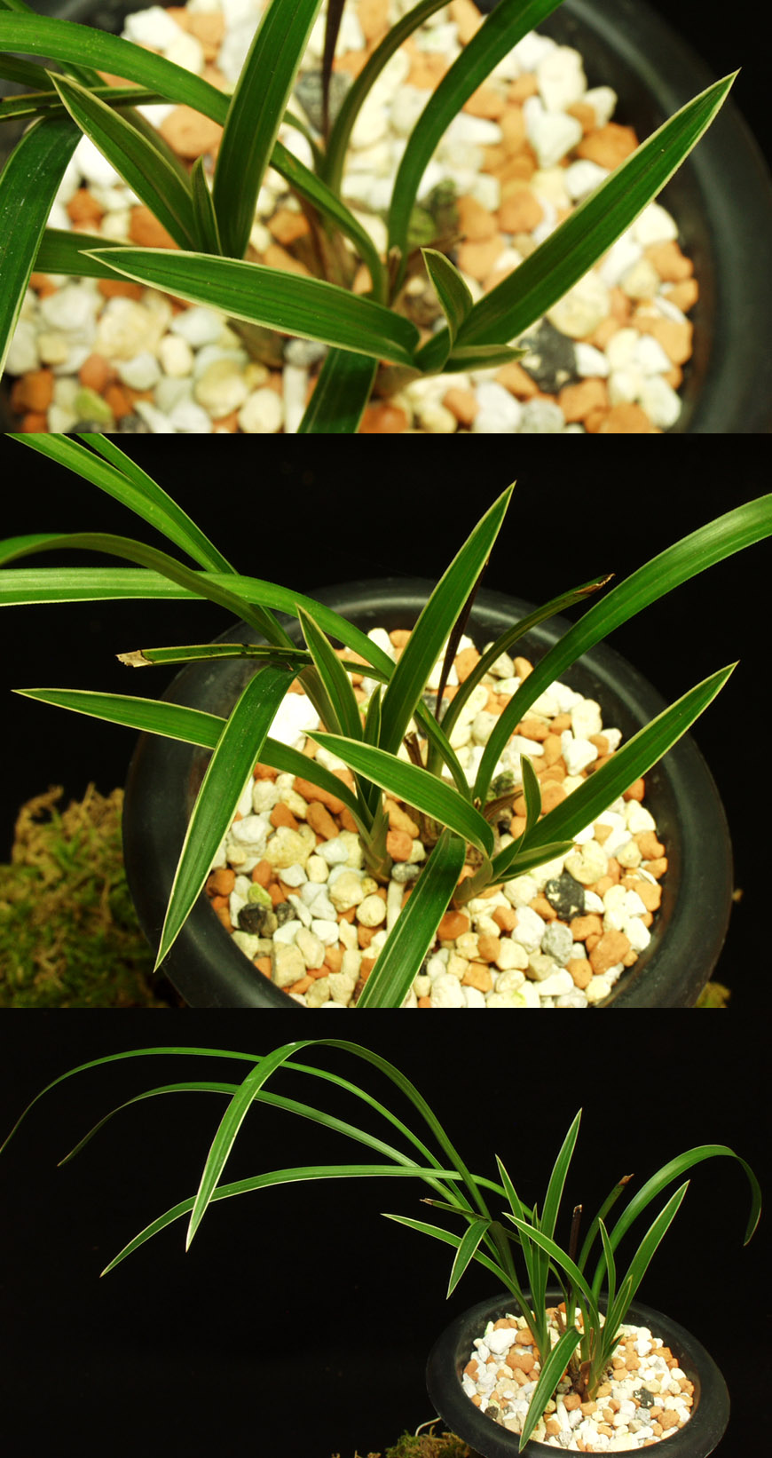 ������ ū������ �� �� �ֽ��ϴ�.