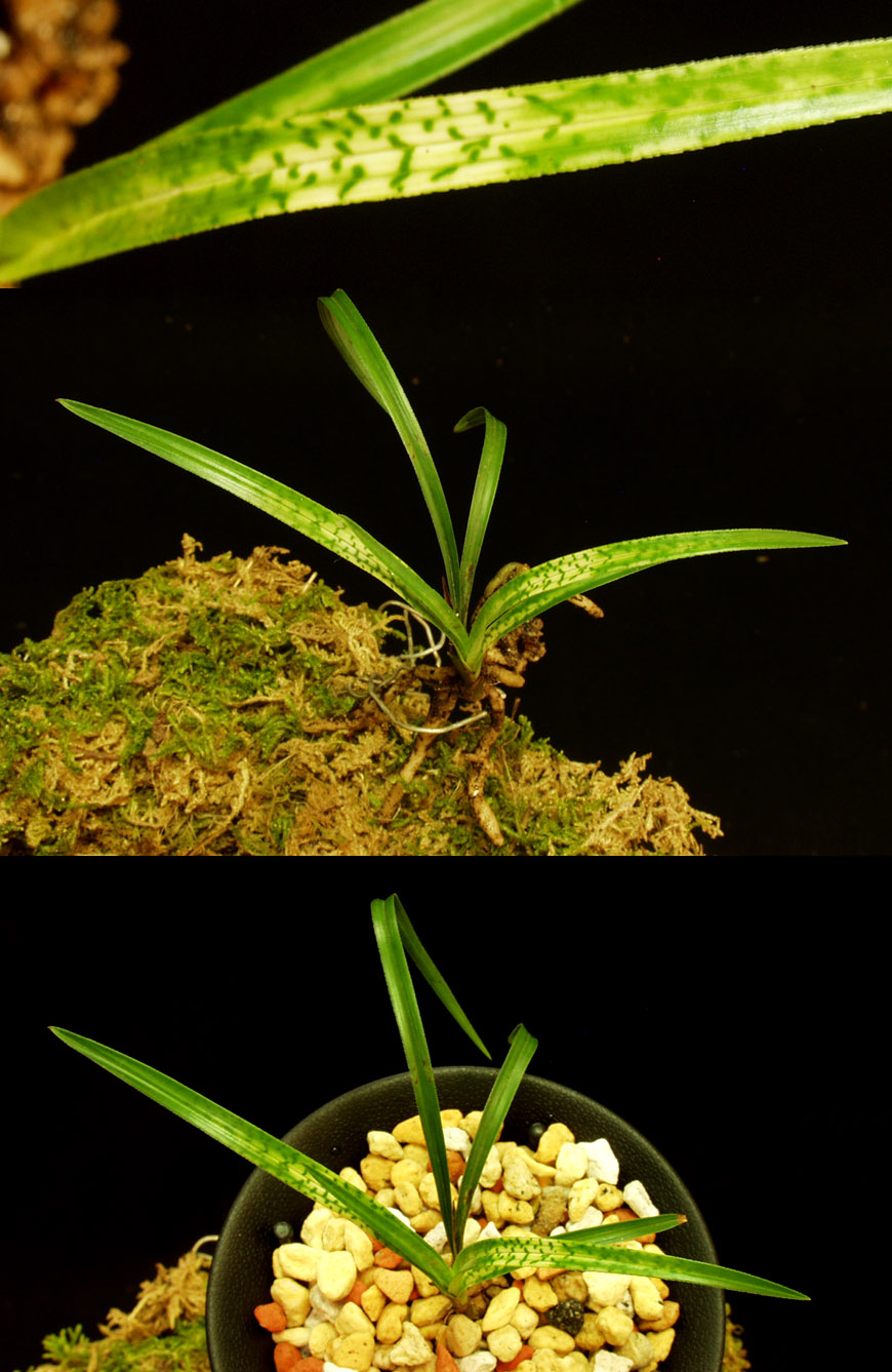 ������ ū������ �� �� �ֽ��ϴ�.