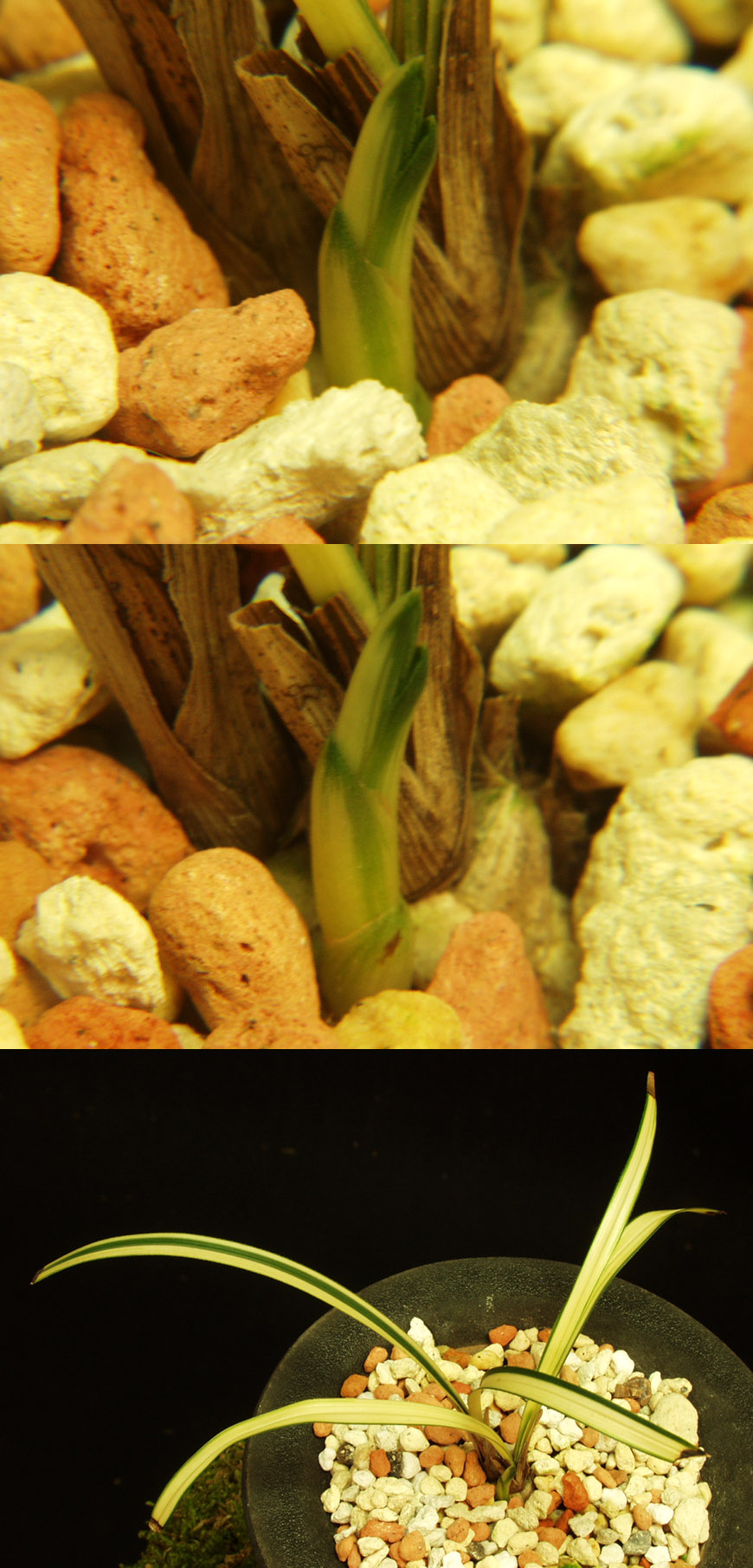 ������ ū������ �� �� �ֽ��ϴ�.